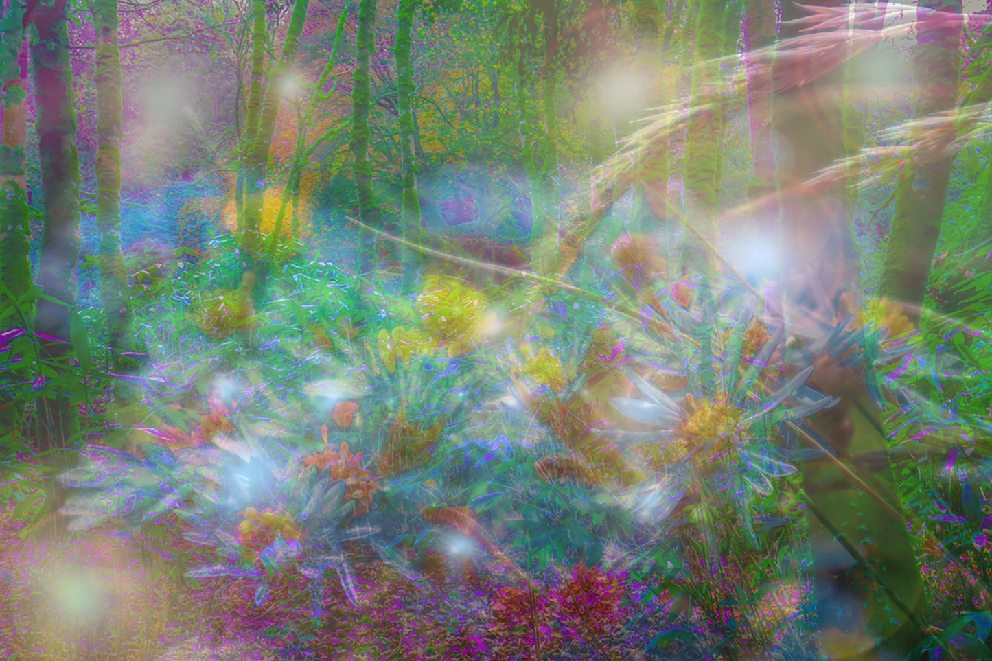 Abstract digital artwork with vibrant colors and floral elements