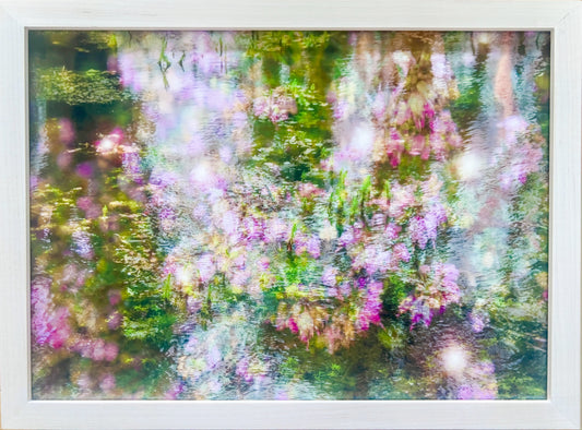 Sleeping in a Forest, framed.