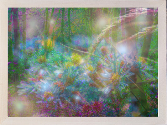 Dreams of the earth, framed
