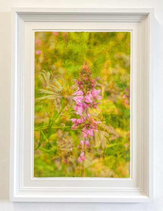 Life Force, Framed