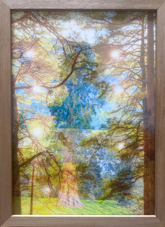 The woods are lovely, framed