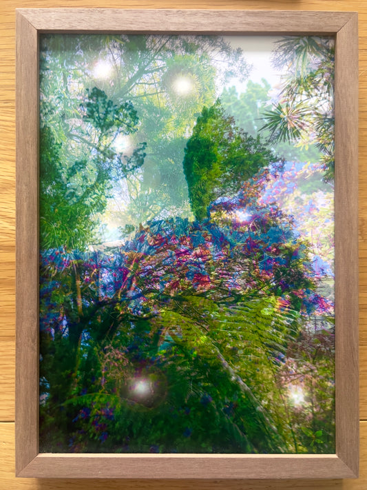 Godliness floats in the vague, framed