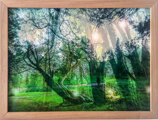 Sleeping Giants, framed