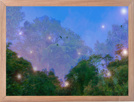The hum of what is alive, framed