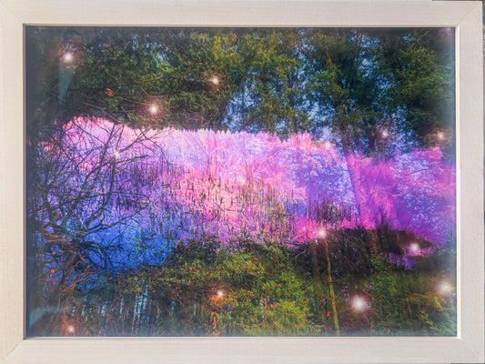 The living world is enchanted, framed.
