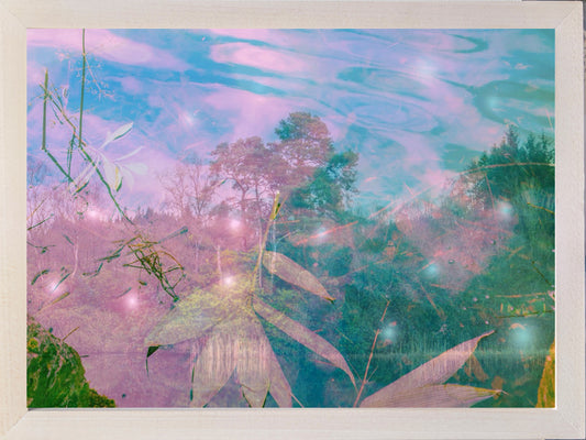 Lost in the eloquence of silence, framed