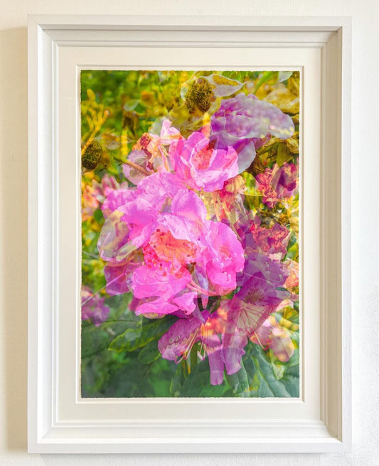 Quiet Solitude, Framed