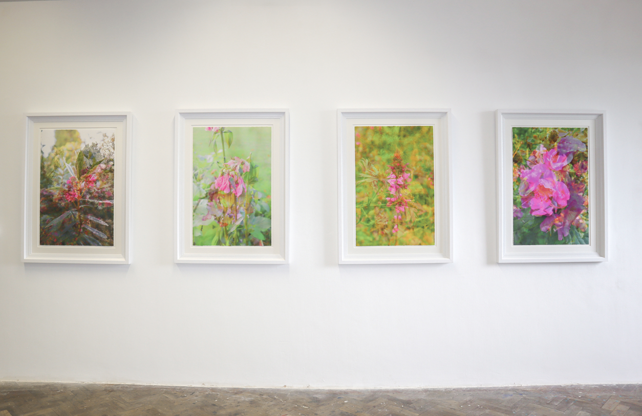 Four framed artworks of floral scenes on a white wall.