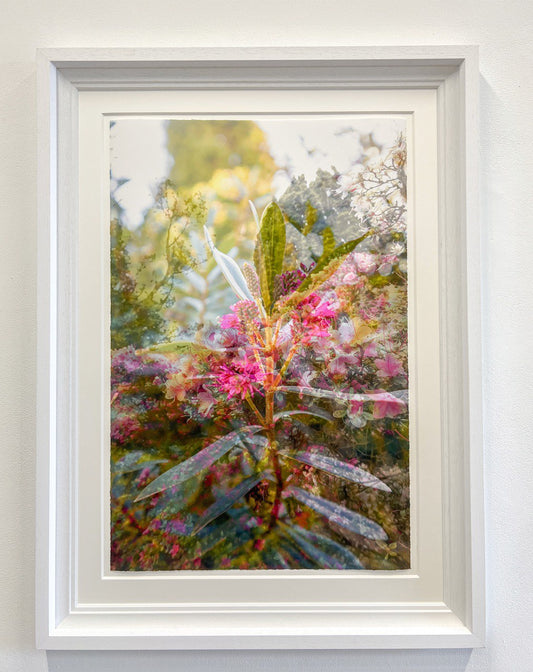 There is so much beauty, Framed