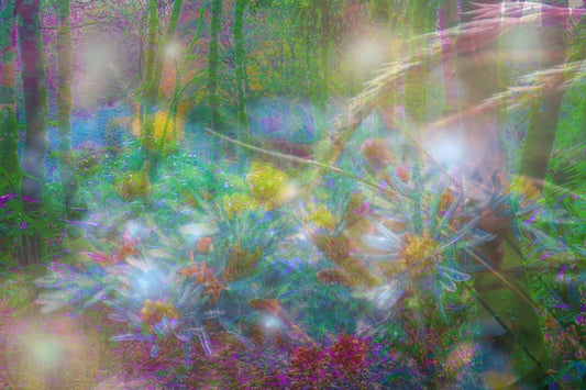 Abstract digital artwork with vibrant colors and floral elements