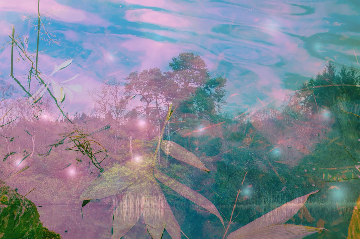 Lost in the Eloquence of Silence print