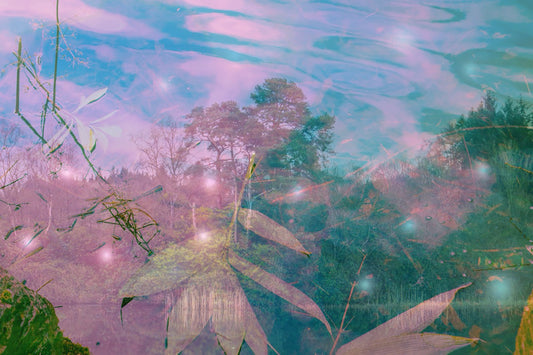 Lost in the Eloquence of Silence print