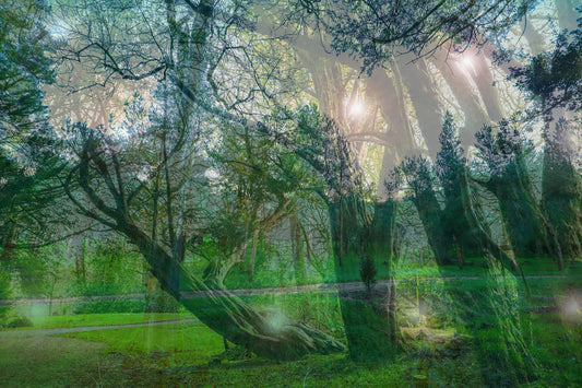 Sleeping Giants print