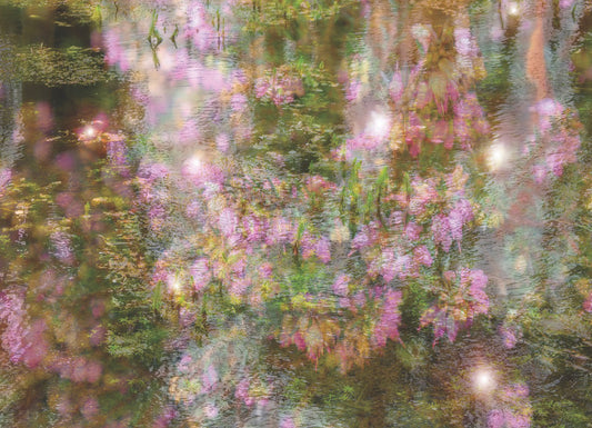 Sleeping in a Forest print