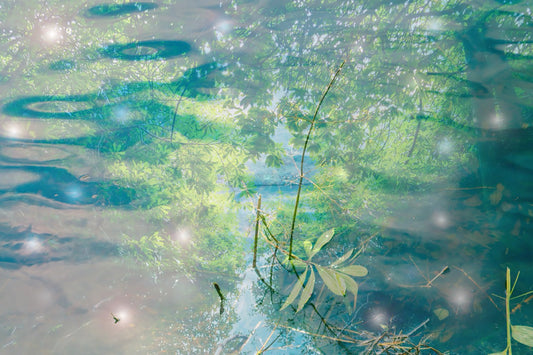 The Glory and Freshness of a Dream print