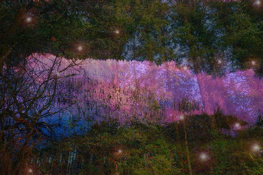 The Living World is Enchanted print